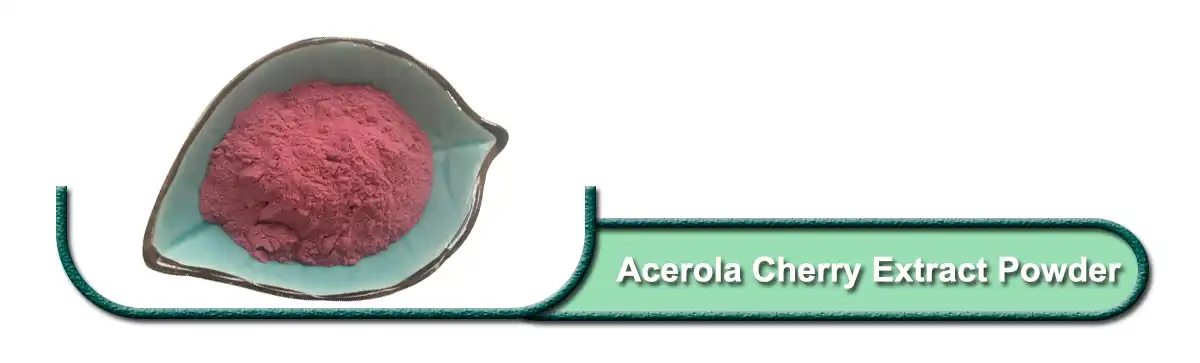 Acerola Cherry Extract.jpg
